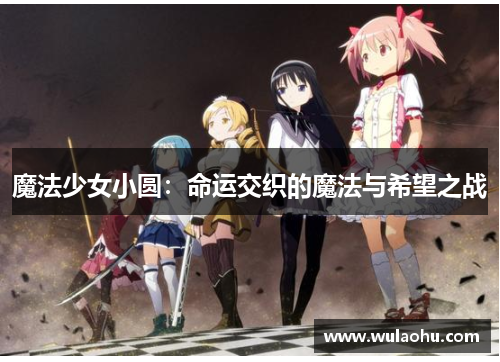 魔法少女小圆：命运交织的魔法与希望之战