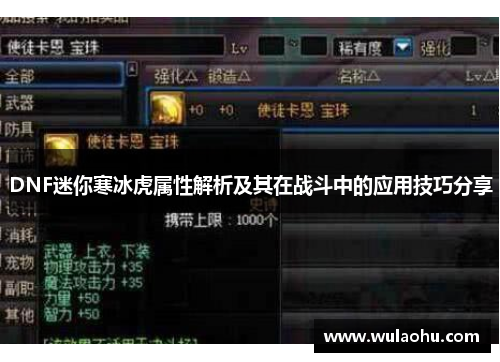 DNF迷你寒冰虎属性解析及其在战斗中的应用技巧分享