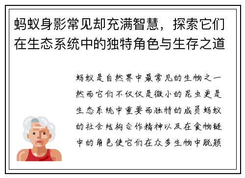 蚂蚁身影常见却充满智慧，探索它们在生态系统中的独特角色与生存之道