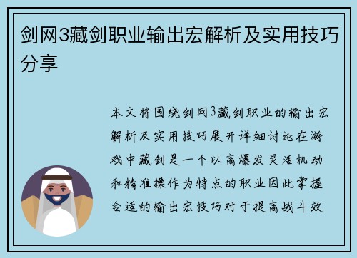 剑网3藏剑职业输出宏解析及实用技巧分享